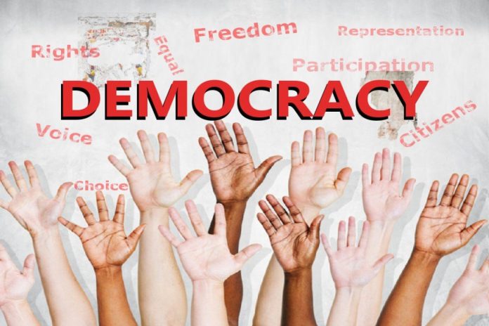 What Are the 4 Types of Democracy